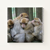 Cute Ape Family Group Hug Photography Notitieboek (Achterkant)