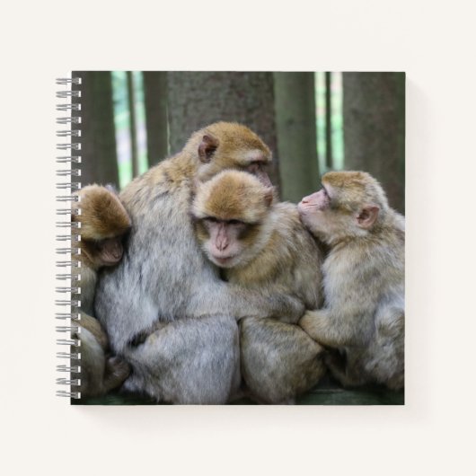 Cute Ape Family Group Hug Photography Notitieboek (Voorkant)