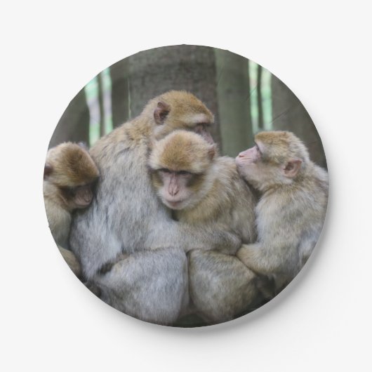 Cute Ape Family Group Hug Photography Papieren Bordje (Voorkant)