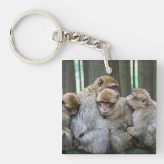 Cute Ape Family Group Hug Photography Sleutelhanger (Voorkant)