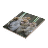 Cute Ape Family Group Hug Photography Tegeltje (Zijkant)