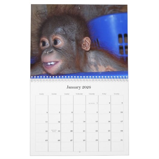 Cute Apes Wildlife Babies Agenda Kalender (Jan 2026)