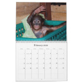 Cute Apes Wildlife Babies Agenda Kalender (Feb 2026)