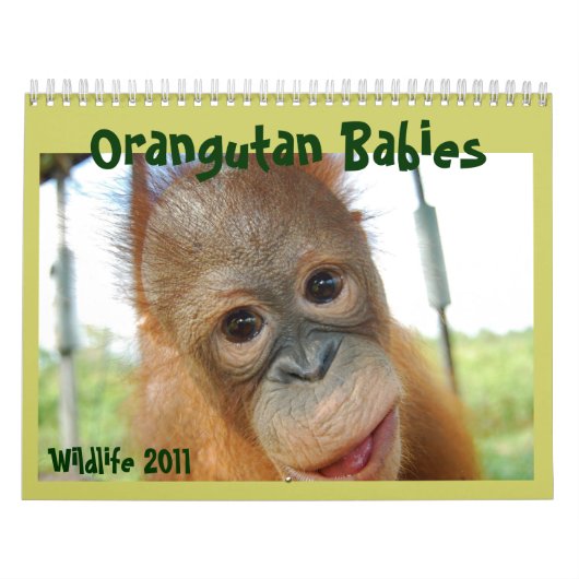Cute Apes Wildlife Kalender (Hoes)