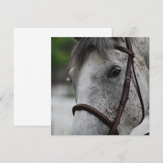 Cute Appaloosa Horse Invitations Kaart (Voorkant / Achterkant)