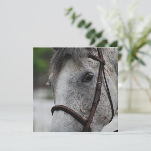 Cute Appaloosa Horse Invitations Kaart (Staand voorkant)