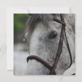Cute Appaloosa Horse Invitations Kaart (Voorkant)