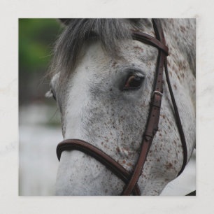 Cute Appaloosa Horse Invitations Kaart