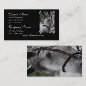 Cute Appaloosa Horse Visitekaartje (Voorkant / Achterkant)