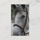 Cute Appaloosa Horse Visitekaartje (Achterkant)