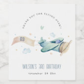 Cute Aqua Blue Green Plane Cloud Kids Birthday Wijn Etiket (Enkel label)