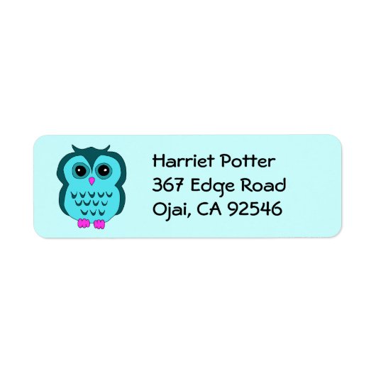 Cute Aqua Owl Pink Feet Etiket (Voorkant)