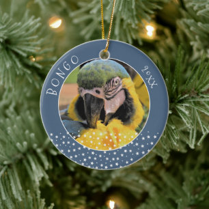 Cute Ara Pet Parrot Photo Star Blue Kerstblauw Keramisch Ornament