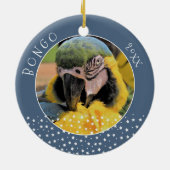 Cute Ara Pet Parrot Photo Star Blue Kerstblauw Keramisch Ornament (Achterkant)