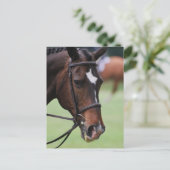 Cute Arabian Horse Briefkaarten (Staand voorkant)