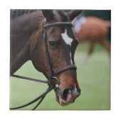 Cute Arabian Horse Tile Tegeltje (Voorkant)