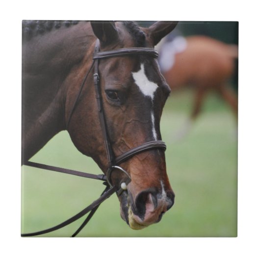 Cute Arabian Horse Tile Tegeltje (Voorkant)