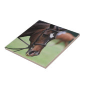 Cute Arabian Horse Tile Tegeltje (Zijkant)