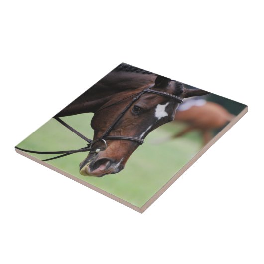 Cute Arabian Horse Tile Tegeltje (Zijkant)