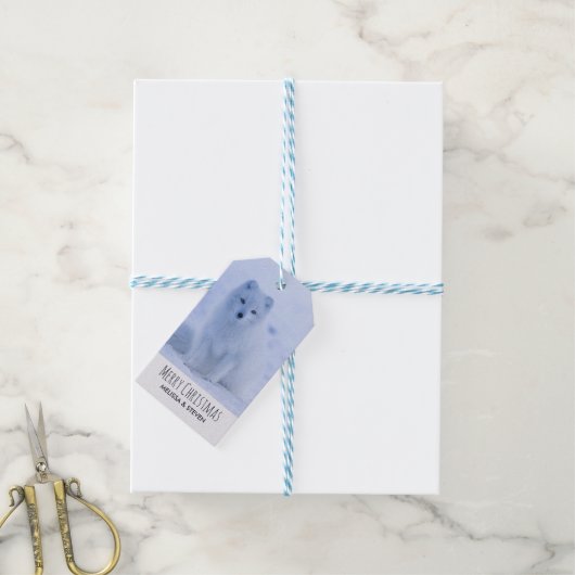 Cute Arctic Fox op Sneeuwkerst Cadeaulabel (Met Touw)
