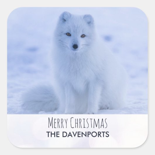 Cute Arctic Fox op Sneeuwkerst Vierkante Sticker (Voorkant)