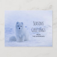 Cute Arctic Fox op Snowy Winter Background