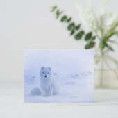 Cute Arctic Fox op Snowy Winter Background Briefkaart (Staand voorkant)