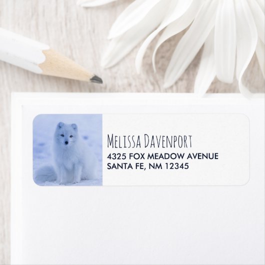 Cute Arctic Fox op Snowy Winter Background Etiket (Insitu)