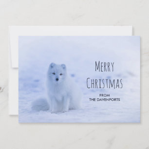 Cute Arctic Fox op Snowy Winter Background Feestdagenkaart