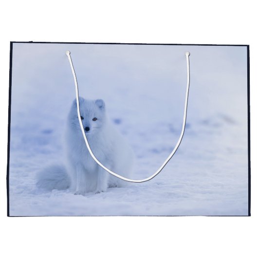 Cute Arctic Fox op Snowy Winter Background Groot Cadeauzakje (Achterkant)