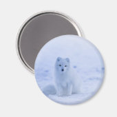 Cute Arctic Fox op Snowy Winter Background Magneet (Voorkant / Achterkant)