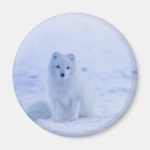 Cute Arctic Fox op Snowy Winter Background Magneet