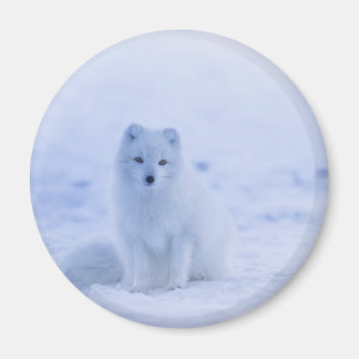 Cute Arctic Fox op Snowy Winter Background Magneet