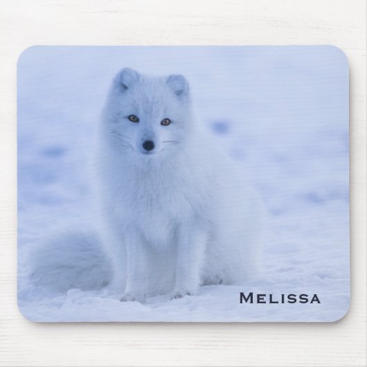 Cute Arctic Fox op Snowy Winter Background Muismat (Voorkant)