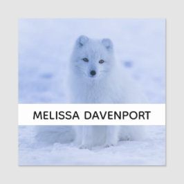 Cute Arctic Fox op Snowy Winter Background Naamplaatje