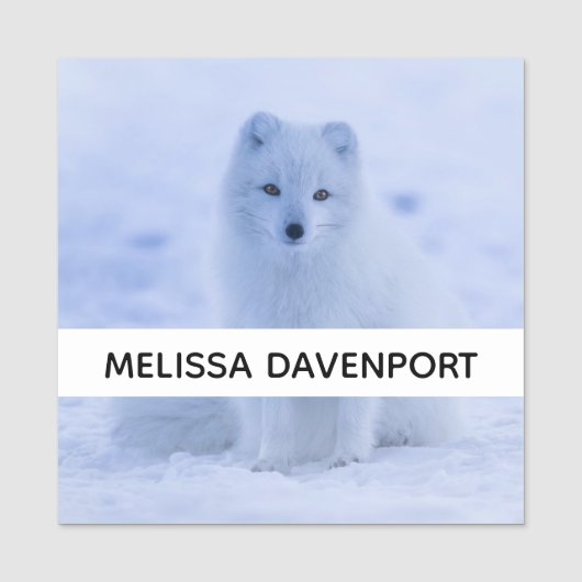 Cute Arctic Fox op Snowy Winter Background Naamplaatje (Voorkant)