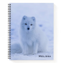 Cute Arctic Fox op Snowy Winter Background