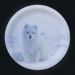 Cute Arctic Fox op Snowy Winter Background Papieren Bordje<br><div class="desc">Papieren borden met een foto van een witte poolvos. Een winterachtig besneeuwd landschap omringt dit prachtige wezen.</div>