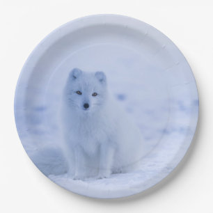 Cute Arctic Fox op Snowy Winter Background Papieren Bordje