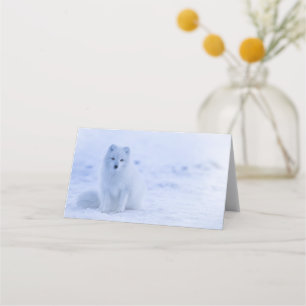Cute Arctic Fox op Snowy Winter Background Plaatskaartje