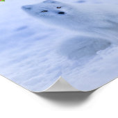 Cute Arctic Fox op Snowy Winter Background Poster (Hoek)