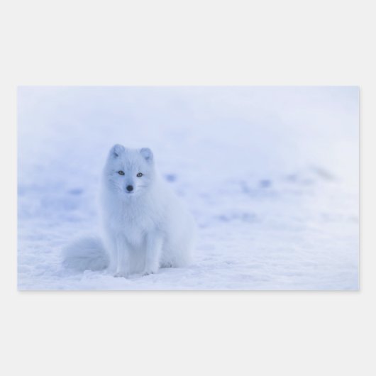 Cute Arctic Fox op Snowy Winter Background Rechthoekige Sticker (Voorkant)