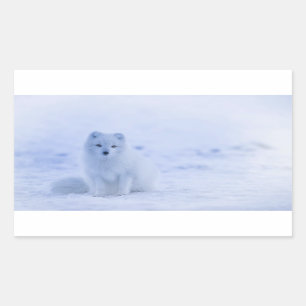 Cute Arctic Fox op Snowy Winter Background Rechthoekige Sticker