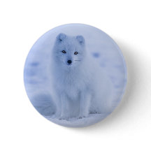 Cute Arctic Fox op Snowy Winter Background