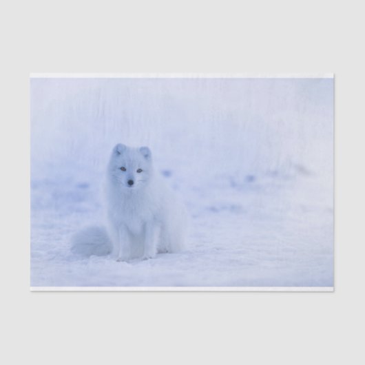 Cute Arctic Fox op Snowy Winter Background Tissuepapier (Voorkant)