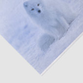 Cute Arctic Fox op Snowy Winter Background Tissuepapier (Detail)