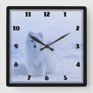 Cute Arctic Fox op Snowy Winter Background Vierkante Klok