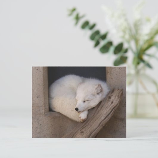 Cute Arctic Fox Slaping Briefkaart (Staand voorkant)
