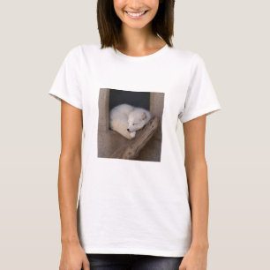 Cute Arctic Fox Slaping T-shirt