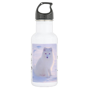 Cute Arctic Fox Winter Outdoor Scene Foto Design Waterfles